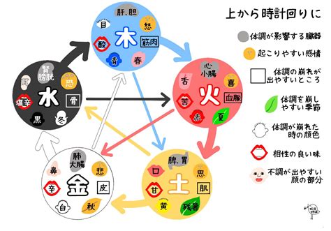 陰陽五行 木 性格|陰陽五行と四柱推命の関係を徹底解説！五行説であなたの性格を。